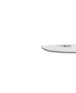 Kuchyňské nože WÜSTHOF Nůž na steak WÜSTHOF EPICURE 12 cm