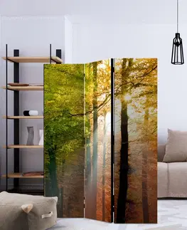 Paravány Paraván Forest Colours Dekorhome 135x172 cm (3-dílný)