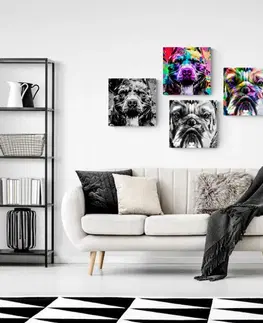 Sestavy obrazů Set obrazů psy v pop art provedení