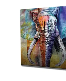 Obrazy Wallity Obraz na plátně Elephant ethno KC306 50x70 cm