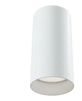 Moderní stropní svítidla MAYTONI stropní svítidlo Alfa C010CL-01W