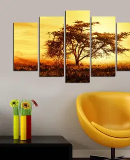 Obrazy Hanah Home Vícedílný obraz Tree In The Golden Hour 110x60 cm