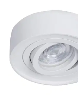 Svítidla  Podhledové bodové svítidlo NUSA 1xGU5,3-MR16/50W/12V kulatý bílá 