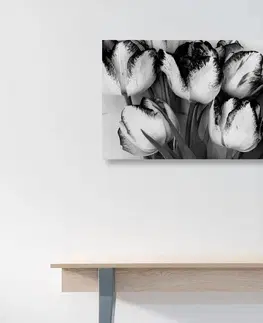 Černobílé obrazy Obraz tulipány v jarním nádechu v černobílém provedení