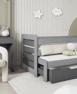 Postele Detská posteľ s prístelkou Tomasz II Provedení: Borovice přírodní