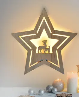Vánoční dekorace Solight LED nástěnná dekorace vánoční hvězda, 24x LED, 2x AA