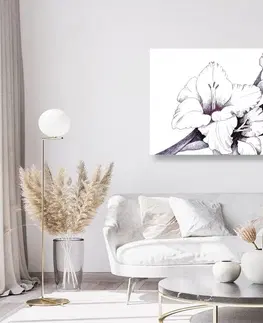 Obrazy květů Obraz ilustrace kvetoucího mečíků