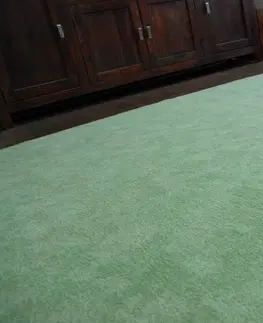 Koberce a koberečky Dywany Lusczow Kusový koberec SERENADE Hagy zelený, velikost 100x150