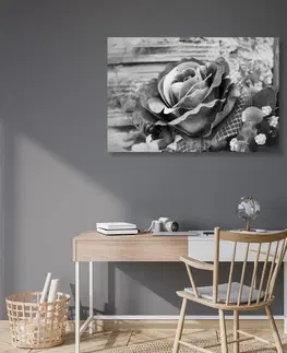 Černobílé obrazy Obraz vintage růže v černobílém provedení