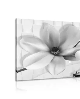 Černobílé obrazy Obraz černobílá magnolie s abstraktními prvky