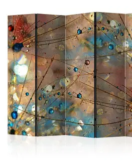 Paravány Paraván Magical World Dekorhome 225x172 cm (5-dílný)