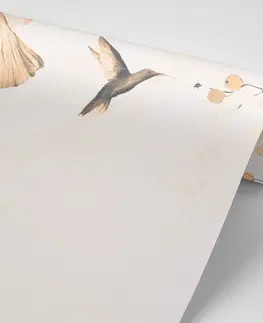 Tapety listy Tapeta listy s kolibříky v odstínu Peach Fuzz