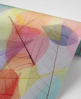 Samolepící tapety Samolepící tapeta žilky na barevných listech