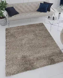 Plyšové koberce Moderní měkký koberec