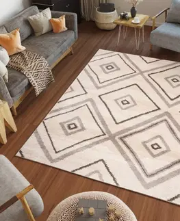Plyšové koberce Měkký a moderní koberec