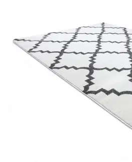 Koberce a koberečky Dywany Lusczow Kusový koberec SKETCH CAMERON bílý /šedý trellis, velikost 200x290