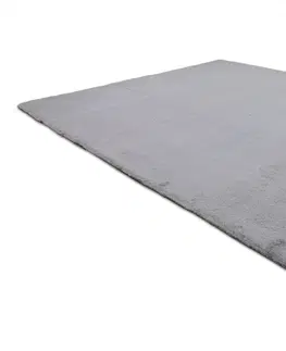 Koberce a koberečky Dywany Lusczow Kusový koberec BUNNY stříbrný, velikost 60x100