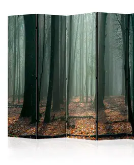 Paravány Paraván Witches' forest Dekorhome 225x172 cm (5-dílný)