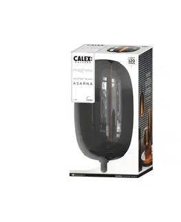Stmívatelné LED žárovky Calex Calex Magneto Asarna LED žárovka E27 4W 1 800K dim