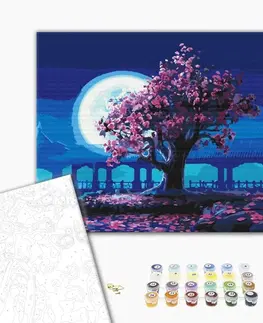 Příroda Malování podle čísel sakura v měsíčním svitu