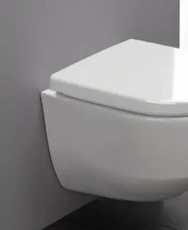 WC sedátka GEBERIT DuofixBasic s bílým tlačítkem DELTA50 + WC LAUFEN PRO LCC RIMLESS + SEDÁTKO 458.103.00.1 50BI LP2