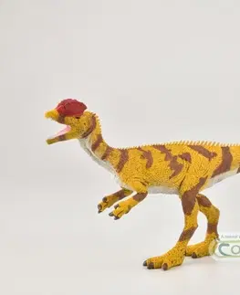 Hračky MAC TOYS - Dilophosaurus