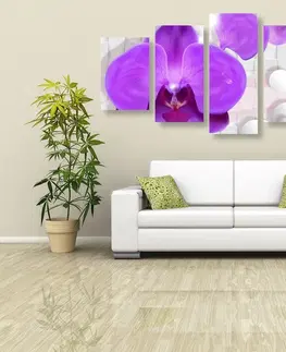 Obrazy květů 5-dílný obraz orchidej na abstraktním pozadí