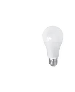 LED osvětlení  LED Žárovka PITT A60 E27/15W/230V 4000K 