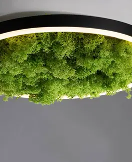 Stropní svítidla JUST LIGHT. LED stropní svítidlo Green Ritus, mechové stmívatelné Ø39,3cm