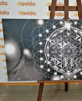 Černobílé obrazy Obraz okouzlující Mandala v černobílém provedení