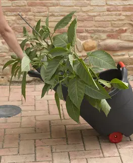 Zahradní nábytek ArtRoja Zahradní plastový vozík PROGRESS | černý