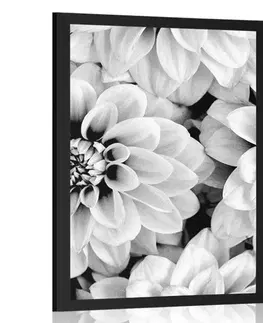 Černobílé Plakát květiny dálí v černobílém provedení