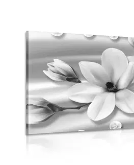 Černobílé obrazy Obraz luxusní magnolie s perlami v černobílém provedení