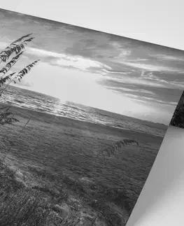 Černobílé tapety Fototapeta západ slunce na pláži v černobílém