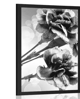 Černobílé Plakát květ karafiátu v černobílém provedení