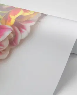Samolepící tapety Samolepící fototapeta kytice tulipánů