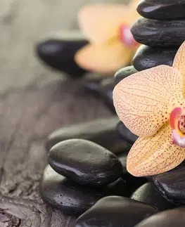 Obrazy Feng Shui Obraz žlutá orchidej a Zen kameny