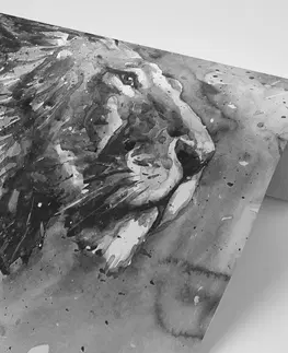 Černobílé tapety Tapeta král zvířat v černobílém akvarelu