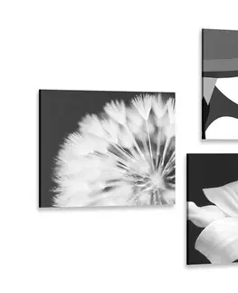 Sestavy obrazů Set obrazů dámy v černobílém provedení