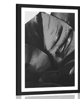 Černobílé Plakát s paspartou list monstery v černobílém provedení