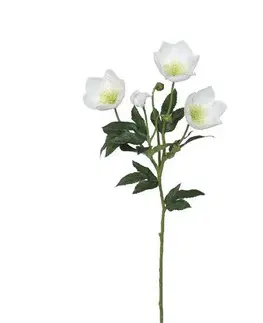 Květiny Umělá čeměřice, v. 62 cm, bílá