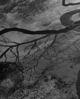 Černobílé obrazy Obraz surrealistické stromy v černobílém provedení
