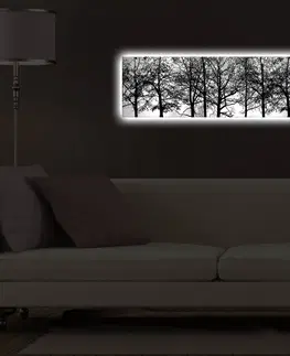 Obrazy Wallity Obraz s LED osvětlením VĚTVE STROMŮ 72 30 x 90 cm