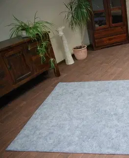 Koberce a koberečky Dywany Lusczow Kusový koberec SERENADE Hagy světle šedý, velikost 200x500