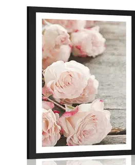 Květiny Plakát s paspartou romantické růže