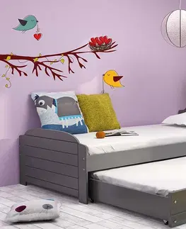 Postele BMS Dětská postel s přistýlkou LILI 2 Barva: Bílá - grafit