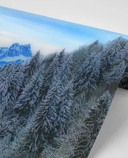Samolepící tapety Samolepící fototapeta zmrzlé hory