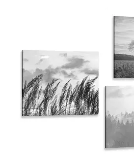 Sestavy obrazů Set obrazů kouzlo černobílé krajiny