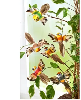Drobné dekorace 6 dekorativních ptáčků