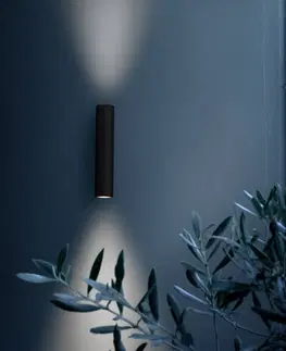 Venkovní nástěnná svítidla FLOS Venkovní nástěnné svítidlo FLOS Flauta Spiga 1, 2 700 K, černé